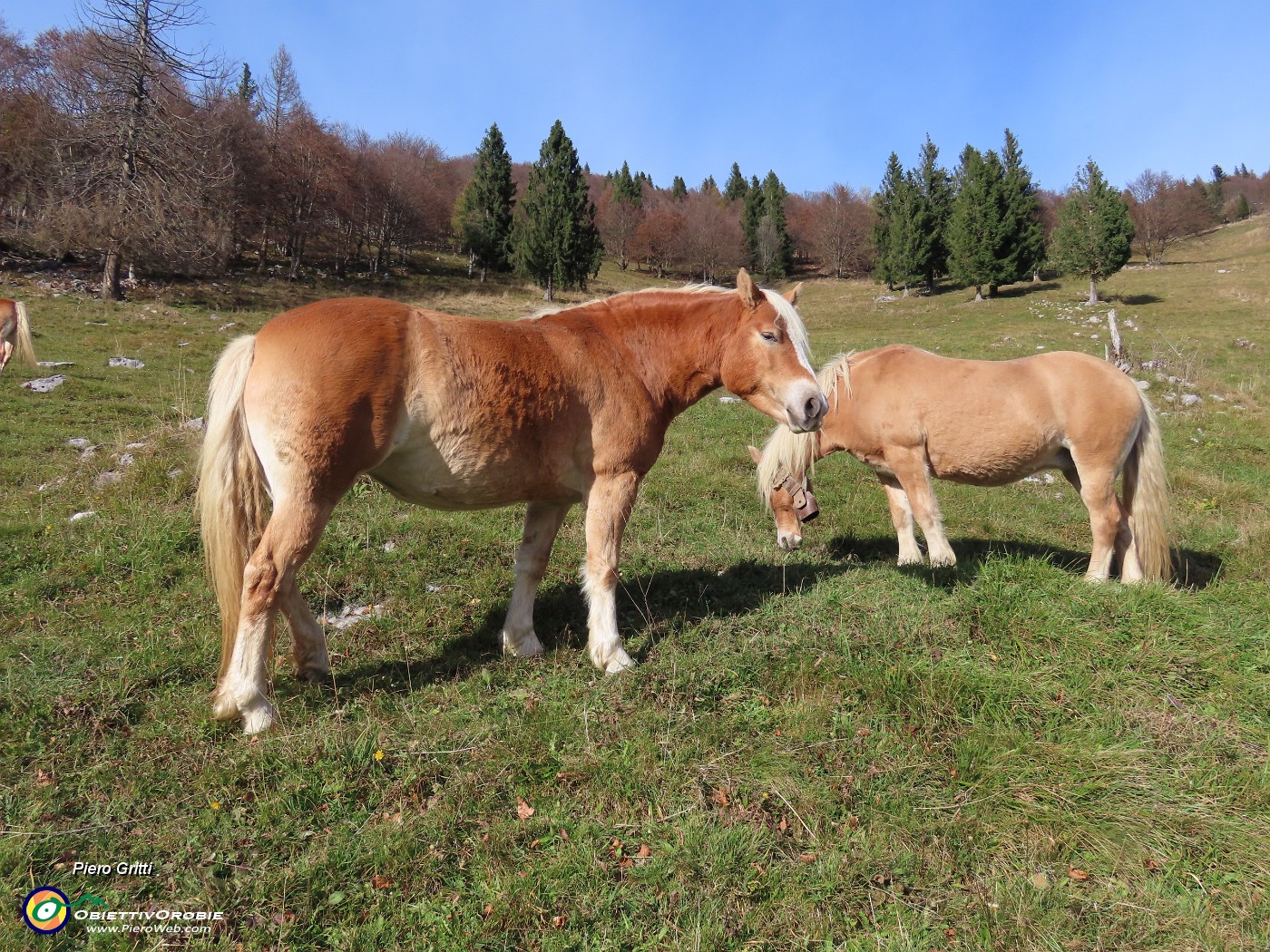 47 Ci guarda mentre andiamo.JPG